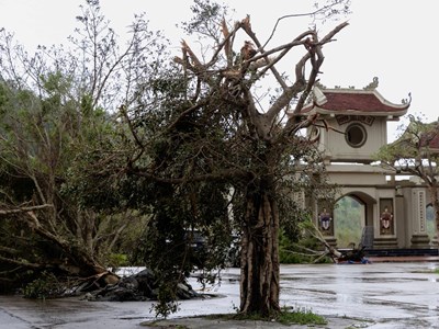 Ngành VHTTDL khẩn trương khắc phục hậu quả bão, lũ