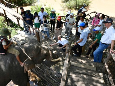 Kết nối biển xanh với đại ngàn