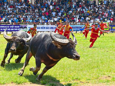 Bản sắc truyền thống là yếu tố hàng đầu