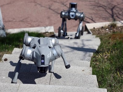 Robot trở thành bạn đồng hành trên toàn cầu