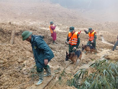 Vẫn chưa tìm thấy người mất tích