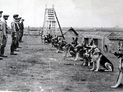 Người lính với đôi tai “ra đa” và trái tim dũng cảm