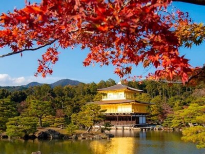 Nhật Bản - Hàn Quốc vào mùa lá đỏ rực rỡ, du khách Việt háo hức lên đường “săn thu”