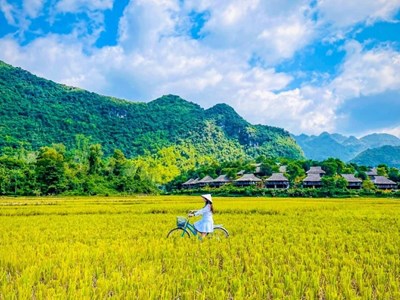 “Chạy trốn” cuối năm, đi tìm khoảng lặng sau một năm bộn bề