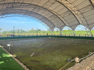 Thực hiện thành công nguyên tắc “ba không”