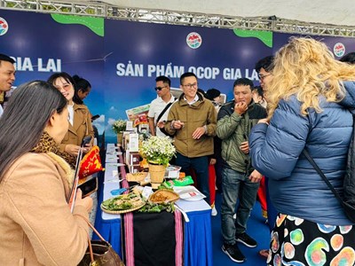 Gia Lai đẩy nhanh quảng bá Năm Du lịch quốc gia 2026