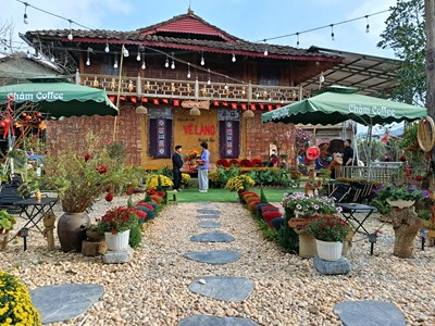 Tết đầu tiên ở Làng du lịch tốt nhất 2025