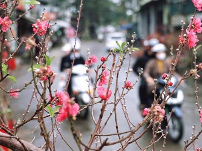 Chút lạnh trước thềm Xuân