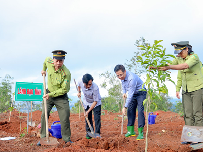 Trồng cây tại di tích núi Thiên Ấn, tri ân nhà chí sĩ yêu nước Huỳnh Thúc Kháng