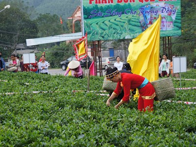Công nghệ số mở lối cho “thủ phủ trà”