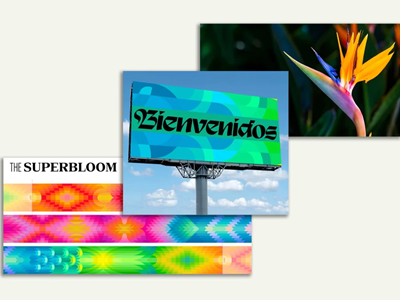 Olympic Los Angeles 2028 công bố bộ nhận diện hình ảnh lấy cảm hứng từ hoa