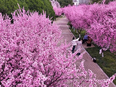 Xu hướng “Đi bộ sắc màu” thay đổi cách giới trẻ Trung Quốc khám phá các đô thị