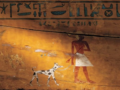 Nghiên cứu di truyền xác định loài chó cổ nhất sống cách đây 15.800 năm