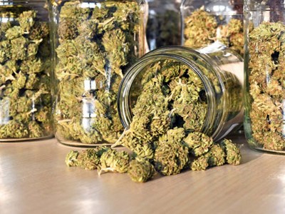 Mỹ nới lỏng quy định về cần sa, ngành công nghiệp 47 tỉ USD bước vào giai đoạn mới