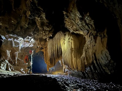 Mở ra hướng nghiên cứu sâu hơn về địa chất và hệ sinh thái lịch sử
