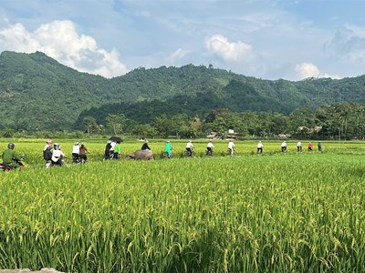 Từ du lịch cộng đồng đến quản trị cộng đồng ở Tuyên Quang