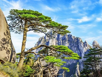 Di sản ba lần được UNESCO vinh danh dùng công nghệ phát triển du lịch bền vững