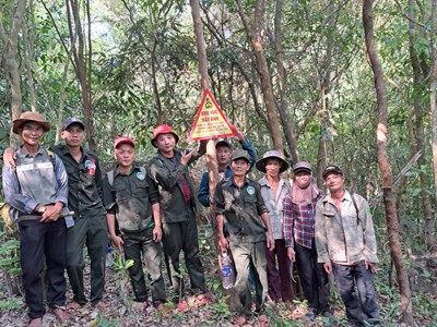 Giữ rừng di sản Mỹ Sơn từ sức mạnh cộng đồng