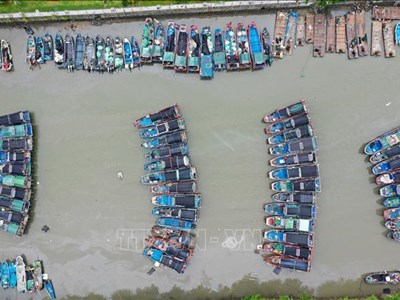 Hơn 715.000 người sơ tán khi bão Noul đổ bộ Trung Quốc