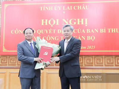 Thứ trưởng Bộ Nông nghiệp và Môi trường Lê Minh Ngân được điều động giữ chức Phó Bí thư Thường trực Tỉnh ủy Lai Châu