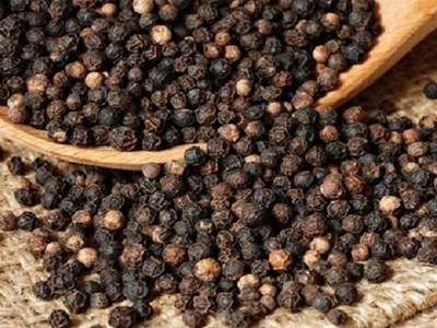 Giá tiêu hôm nay 16.10: Tiêu Việt Nam xuất khẩu giảm mạnh, thị trường nội địa ổn định