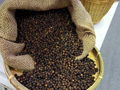 Giá tiêu hôm nay 20.10: Nguồn cung dồi dào, thị trường đi ngang