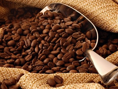 Giá cà phê hôm nay 19.10: Thị trường nội địa đồng loạt giảm 1.000 đồng/kg