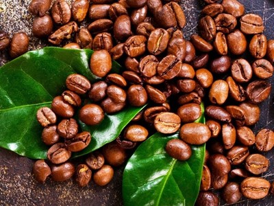 Giá cà phê hôm nay 28.10: Tăng nhẹ 500 đồng/kg, thị trường trong nước khởi sắc