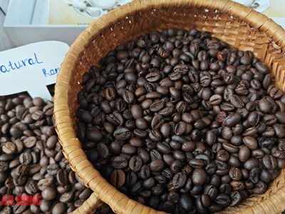 Giá cà phê hôm nay 30.10: Trong nước tăng nhẹ, thế giới biến động trái chiều