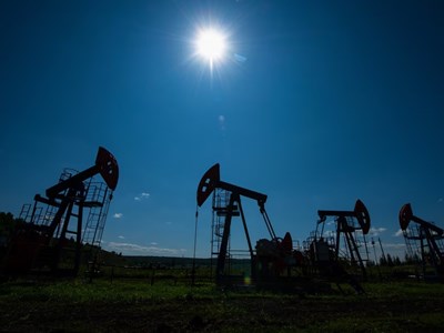 Giá xăng dầu hôm nay 13.11: Đảo chiều giảm nhẹ khi áp lực dư cung gia tăng