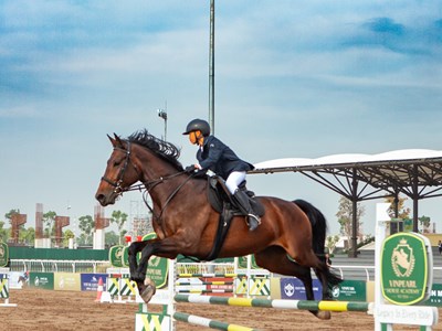 Vinpearl Equestrian Cup 2025: Bước đột phá của thể thao cưỡi ngựa Việt Nam