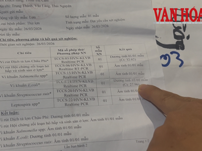 Khi nỗi lo bủa vây cha mẹ