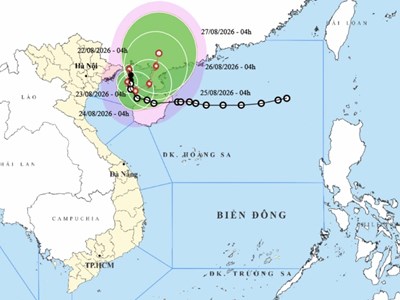 Hải Phòng, Quảng Ninh tạm dừng hoạt động tàu thuyền trên biển để ứng phó bão số 4