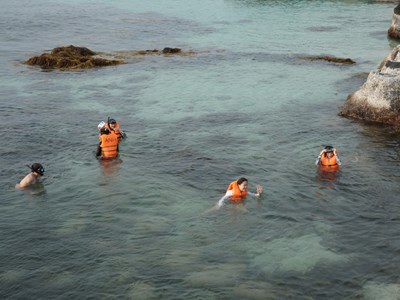 Khảo sát, trải nghiệm du lịch tại huyện đảo Lý Sơn