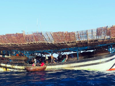 Tàu câu mực trở về từ Trường Sa thu hàng trăm tỉ đồng