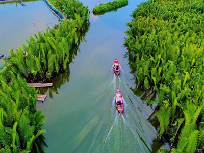 Công nhận điểm du lịch “Rừng dừa nước Tịnh Khê”