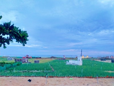 Hỗ trợ từ 10 - 15 triệu đồng/trường hợp thực hiện hỏa táng tại các địa phương