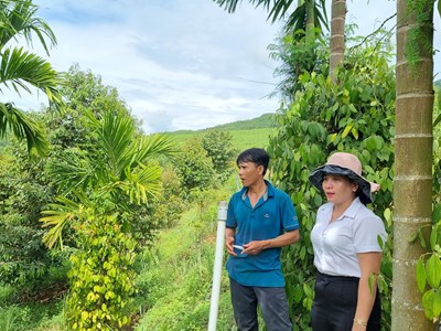 Nghĩa Hành: Chinh phục vùng đất gò đồi