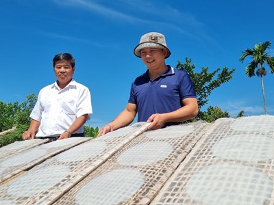 Nghề làm bánh tráng, tạo việc làm cho phụ nữ miền núi Minh Long