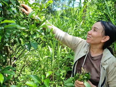 Gương đảng viên phụ nữ dân tộc Hrê vươn lên thoát nghèo ở huyện Minh Long