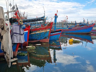 Cần có giải pháp xử lý ô nhiễm môi trường ở các cảng cá