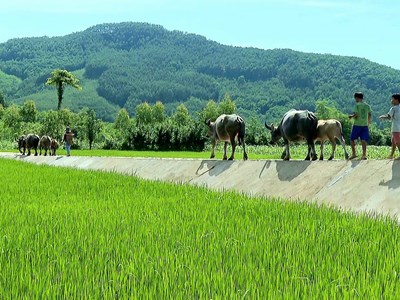 Minh Long: Phát triển kinh tế gắn với gìn giữ bản sắc văn hóa