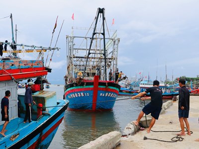 Quảng Ngãi còn hơn 3.400 lao động đang hoạt động trên các vùng biển