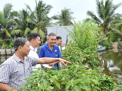 TP Quảng Ngãi: Phát triển nuôi trồng thuỷ sản góp phần chuyển dịch cơ cấu kinh tế, giải quyết việc làm, xoá đói giảm nghèo