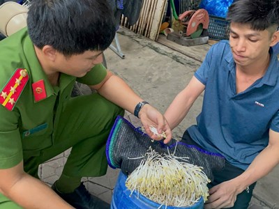 Khởi tố 2 chủ cơ sở sử dụng hóa chất cấm để sản xuất giá đỗ