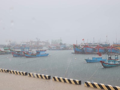 Quảng Ngãi tạm hoãn tất cả các cuộc họp chưa thật sự cần thiết để tập trung vào công tác phòng, chống bão số 6