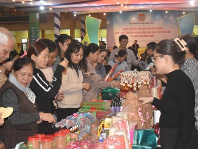 Kết nối tiêu thụ sản phẩm vùng đồng bào DTTS&MN Quảng Ngãi