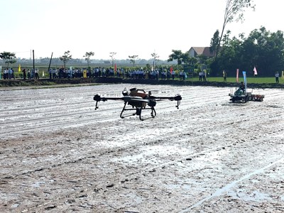 Quảng Ngãi đẩy mạnh chuyển đổi số trong nông nghiệp