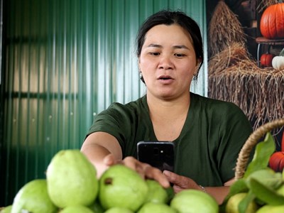 Kết nối tiêu thụ sản phẩm miền núi qua nền tảng thương mại điện tử