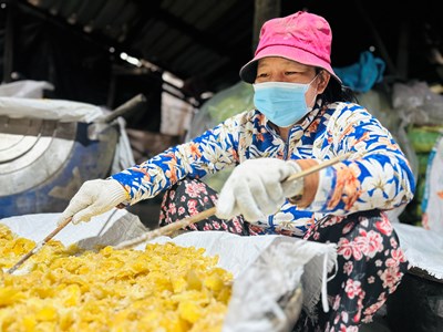 Mứt gừng Quảng Ngãi “đỏ lửa” vào vụ đón Tết